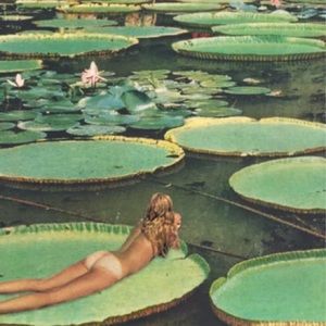 Meet your Posher, Mandy